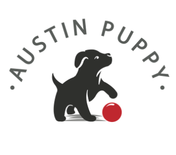 Austin puppy 1