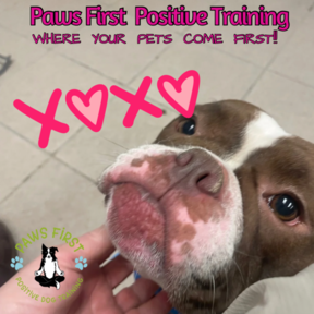 Paws First Positive Dog Training - Mays Landing, NJ
