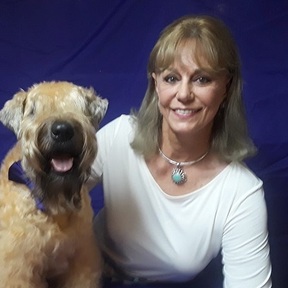 Sit & Stay Dog Care - Boarding and Mobile Grooming - Christiana, TN