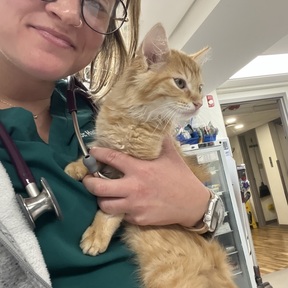 Certified Pet Loss Coach and Veterinarian  - Cape Fear, NC