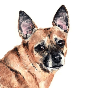 Custom Watercolor Painting Pet Portrait - State College, PA -State College, PA