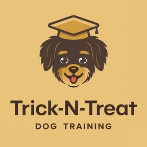 Trick-N-Treat In Home Private Dog Training - Long Island City, NY