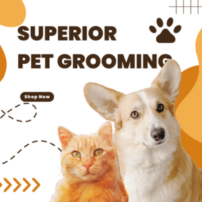 Superior Pet Grooming | Pet Boarding and Grooming Services - Norwalk, CA