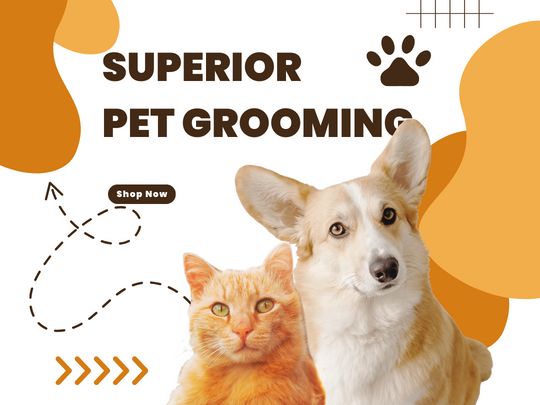 Orange white playful pet shop instagram post %28square%29 %28540 x 405 px%29