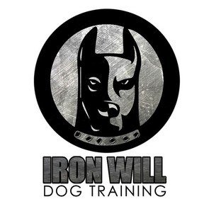 Iron Will In Home Private Dog Training Services - Covington, GA