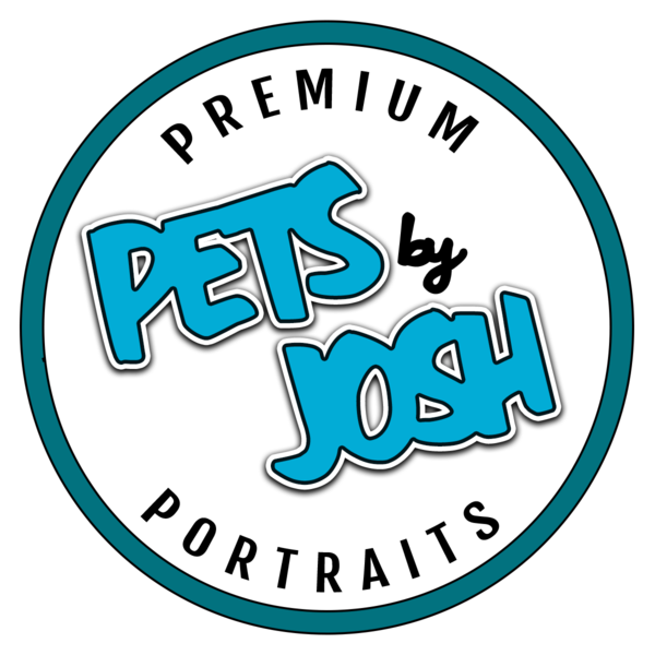 Fantastically Fun Pet Portraits - Greensboro, NC