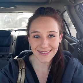 Transporting Pets With High Quality Care - Jacksonville, FL