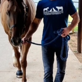 Animal Chiro FL - Enhancing Mobility and Wellness - Tampa, FL