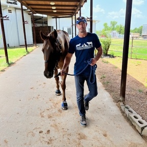 Animal Chiro FL - Enhancing Mobility and Wellness - Tampa, FL