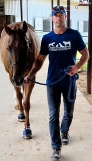 Self equine small