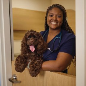 Dash Veterinary Services | Dr. Brittany Dash - Pompano Beach, FL