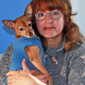 North Star Canines In-Home Dog Trainer & Behavior Counselor - Scottsville, VA