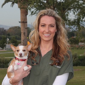 In Home Veterinary Hospice and At Home Pet Euthanasia - Irvine, CA