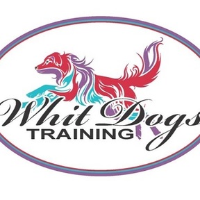 Whit Dogs Training Services - Mendon, MA