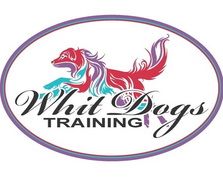 Whit Dogs Training Services - Mendon, MA