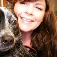 Rebecca   midwood pet sitting