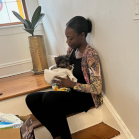 Domestic and International Pet Transportation  - New York, NY