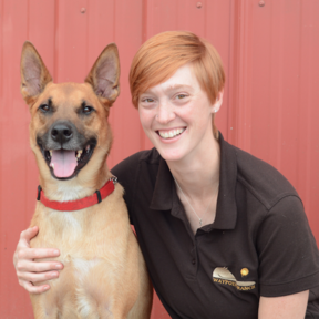 Dandelion Dogs - Certified Private Dog Trainer - Williamsburg, VA