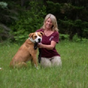 NH Humane Society - Certified Private Dog Training - Laconia, NH