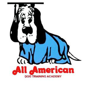 All American Dog Training Academy - Valrico, FL