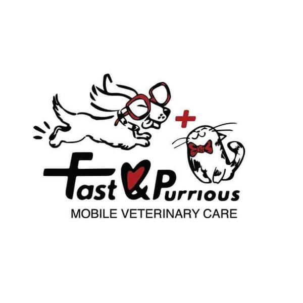 Fast and purrious mobile veterinary care