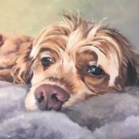 Molly Shirrell Pet Portrait Art - Fayetteville, AR -Fayetteville, AR