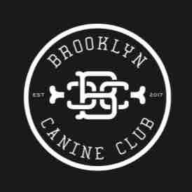 Brooklyn Canine Club - Doggy Daycare Services - Brooklyn, NY