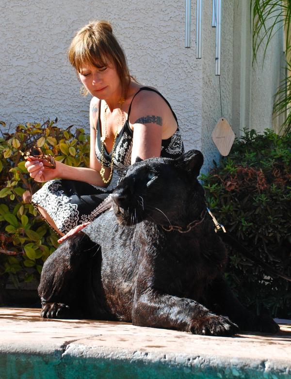 Animal Psychic and Animal Communicator - Pet Medium - Vancouver, BC
