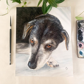 Custom Hand-Painted Watercolor Pet Portraits - Newtown, CT