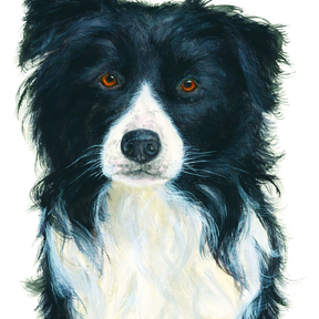 Custom Hand-Painted Watercolor Pet Portraits - Newtown, CT