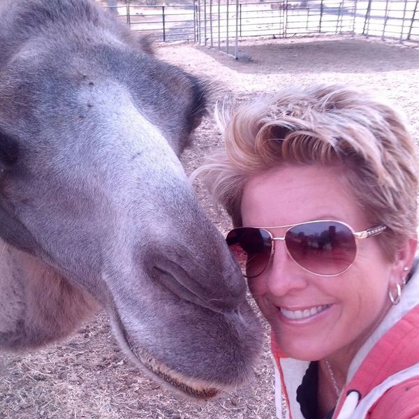 Dr. Maryanne Kraft - Animal Chiropractic Care - Chino Valley, AZ