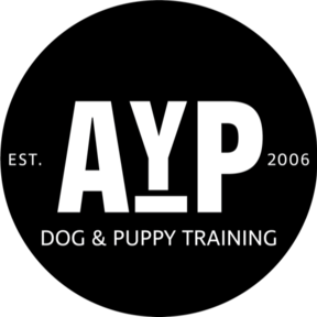 Applause Your Paws - Puppy and Private Dog Training - Miami, FL