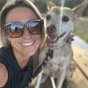 South Tampa Dog Walking & Pet Sitting  - Tampa, FL