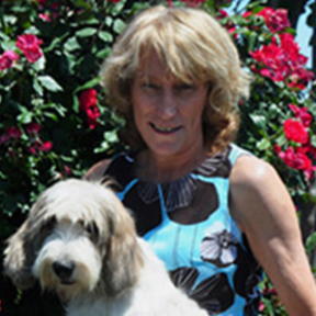 Dogs On The Run - Mobile Pet Grooming - Gordon, TX