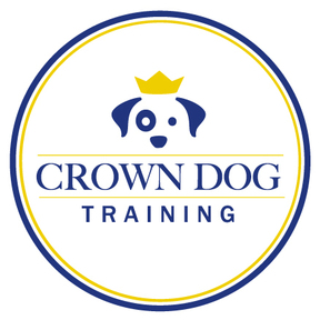 Private Dog Training & Group Classes - Miami, FL