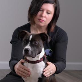 Two Mutts Canine Massage Company - Murphy Animal Hospital - St. Louis, MO