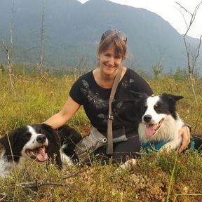 Evolve in Home Private Dog Training - Vancouver, BC