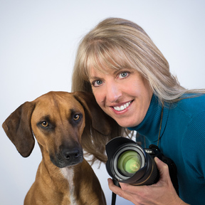 Artful Paws Pet Photography - Fairfax, VA