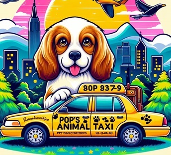 Pops pet taxi 1