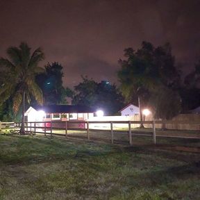 JOJO'S Ranch - Horse Boarding  - Homestead, FL