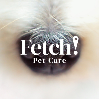 Fetch! Pet Care W. Raleigh - Sanford NC - Raleigh, NC