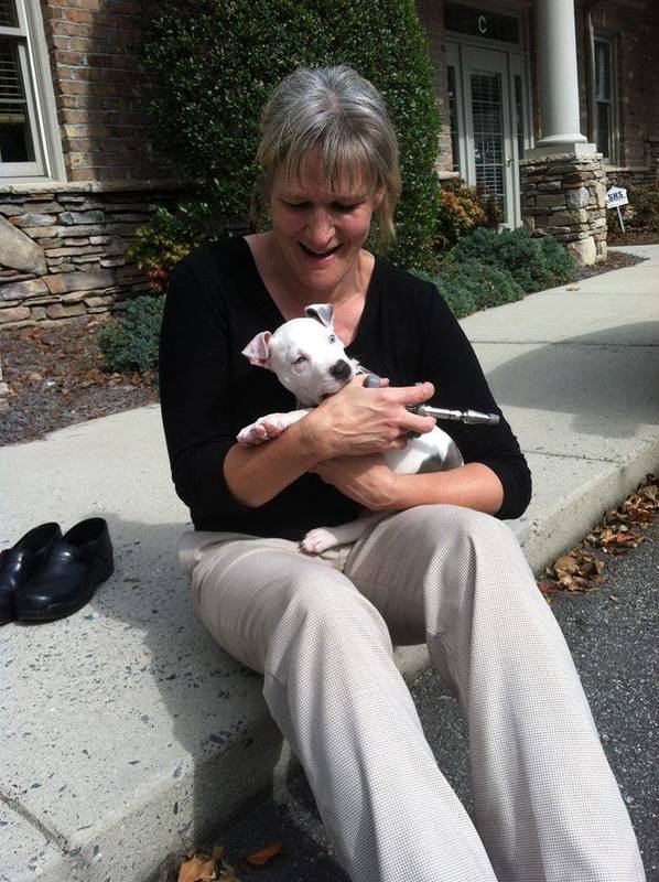 Dr. Kathleen Nazar Animal Chiropractor - Greensboro, NC