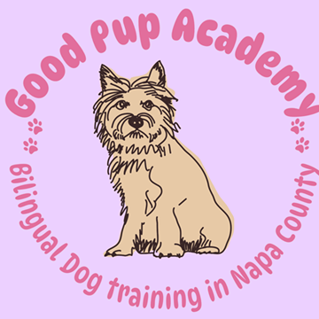 Good pup academy