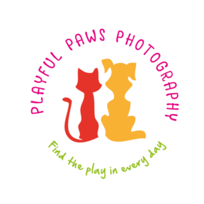Playful Paws Pet Photography - Celebration, FL