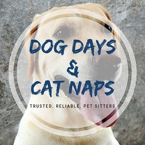 Dog Days & Cat Naps - Pet Sitting Services - Jacksonville, FL