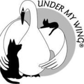 Under My Wing Pet Care - Dog Walking and Pet Sitting - Salem, NH