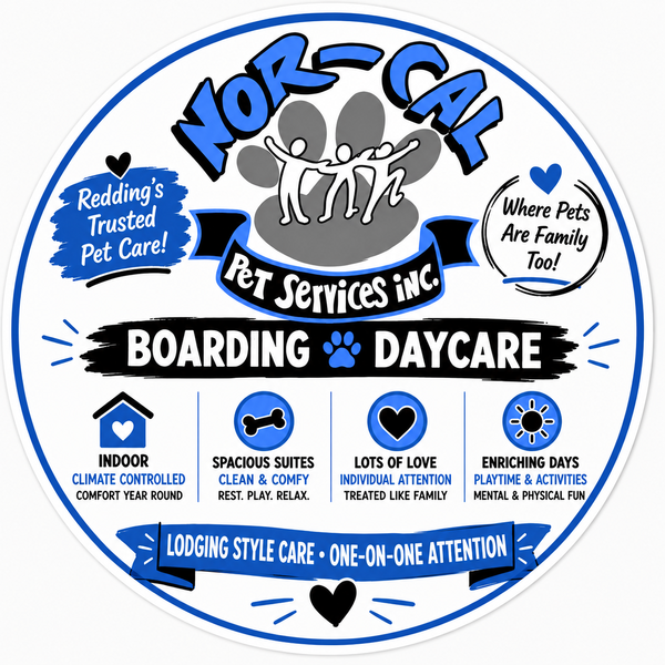 Advertisment logo 