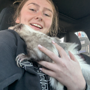 HappyFetch Delivery Pet Transportation - Lancaster, PA