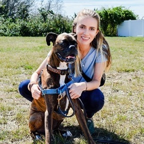 WonderPups University- Certifed Dog Trainer - Jersey City, NJ