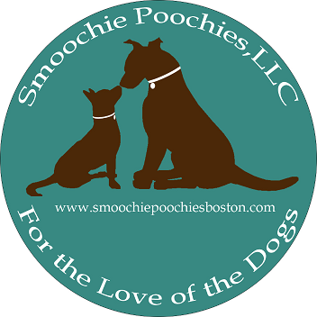 Smoochie Poochies, LLC - Boston, MA